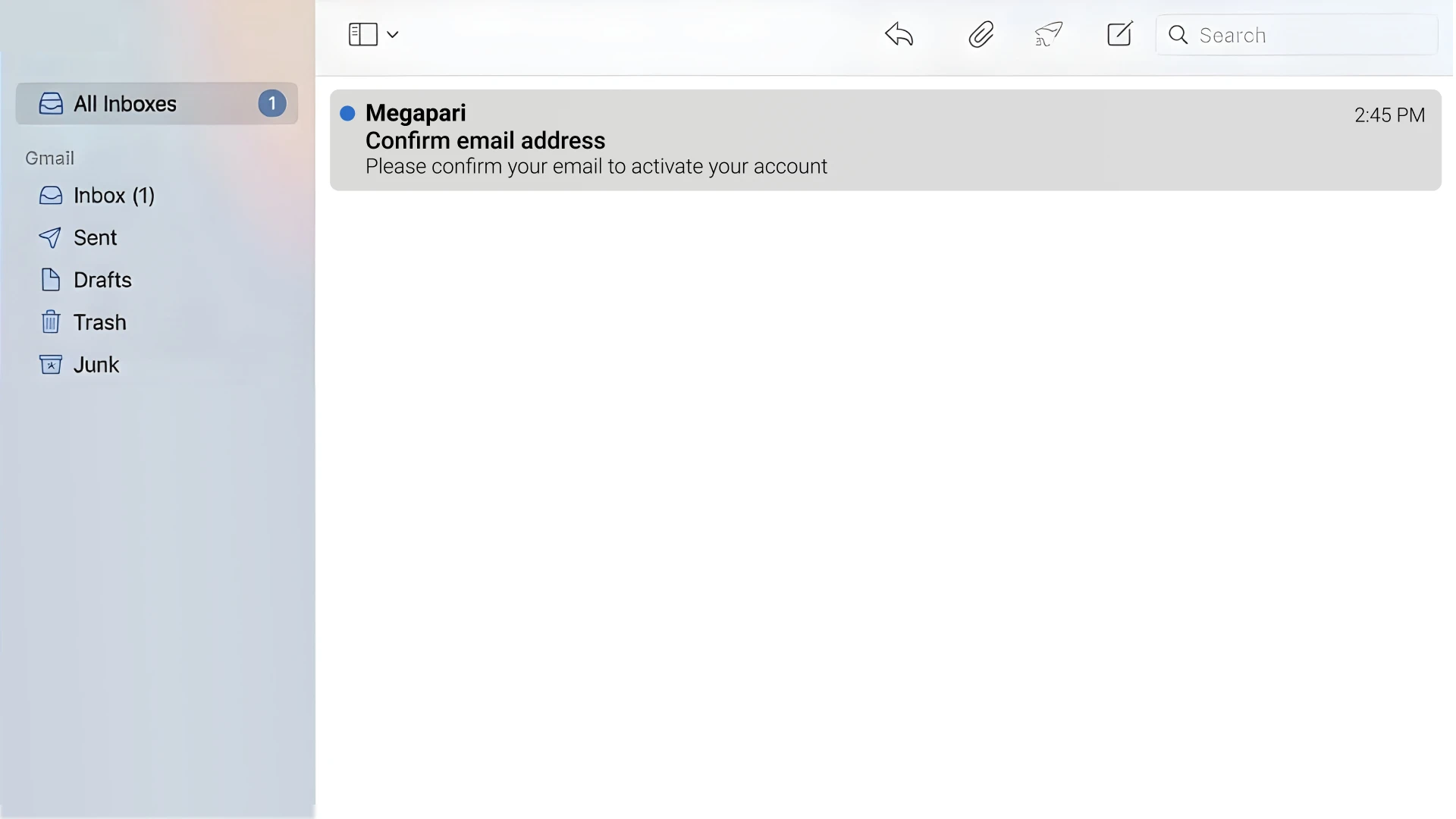Confirm your contact details for secure MegaPari verification.